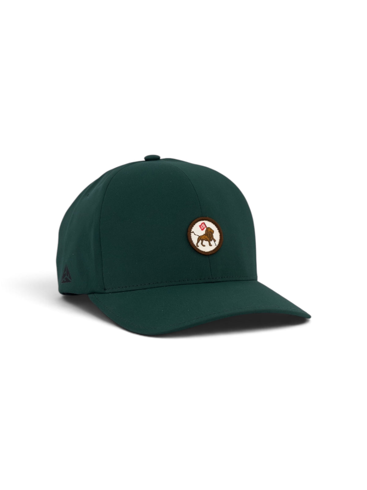 Woven Lion Adjustable cap in green, view 3 #color_Green