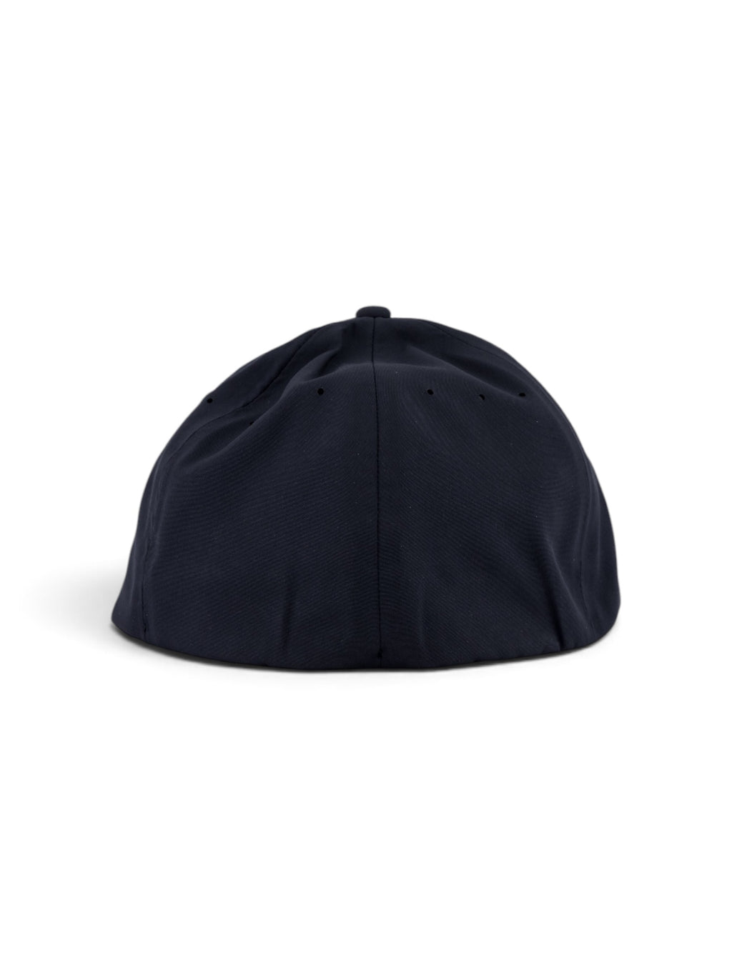 Woven Lion Fitted cap in black #color_Black